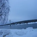 Aurora *