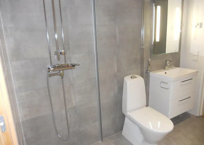 Aurora Daire Rovaniemi